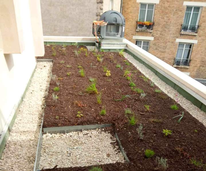 Végétalisation toiture Troyes